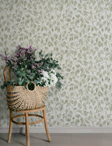 A-Street Prints 4201-20107 Hängbjörk Sage Vine Wallpaper
