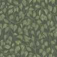 A-Street Prints 4201-20108 Hängbjörk Evergreen Vine Wallpape