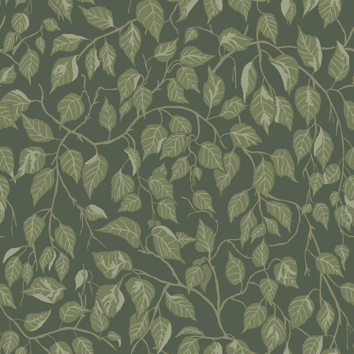 A-Street Prints 4201-20108 Hängbjörk Evergreen Vine Wallpape