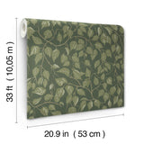 A-Street Prints 4201-20108 Hängbjörk Evergreen Vine Wallpape