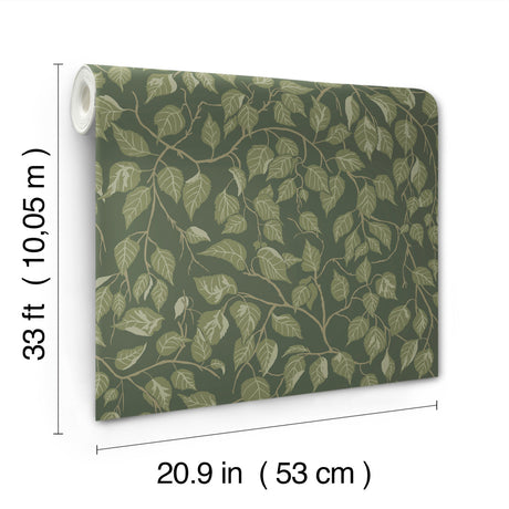 A-Street Prints 4201-20108 Hängbjörk Evergreen Vine Wallpape