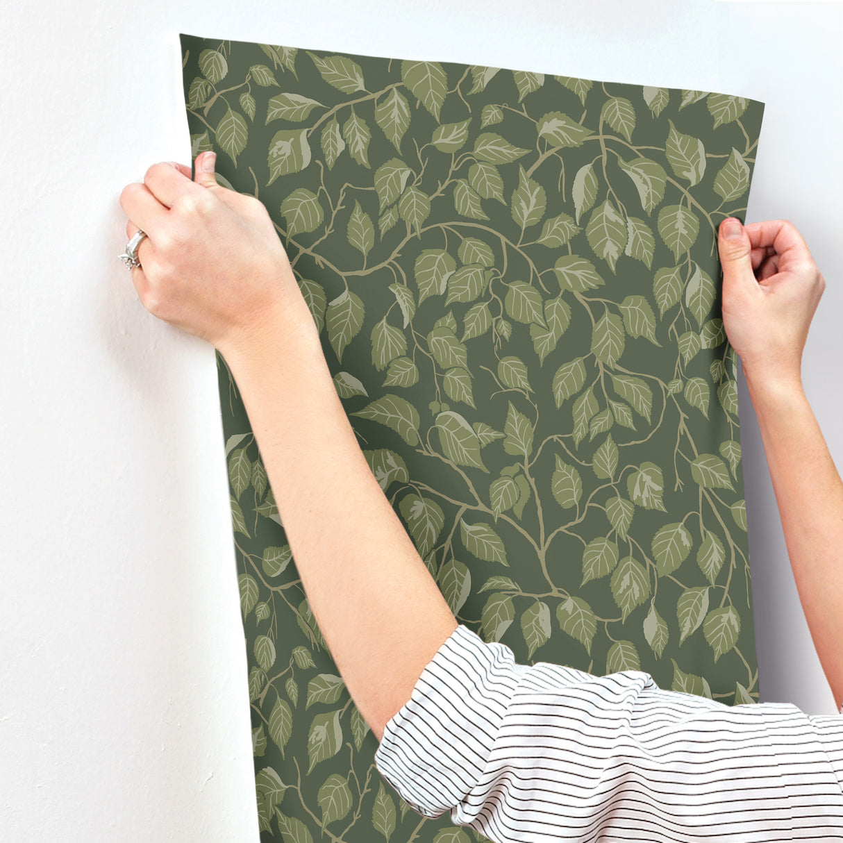 A-Street Prints 4201-20108 Hängbjörk Evergreen Vine Wallpape