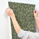 A-Street Prints 4201-20108 Hängbjörk Evergreen Vine Wallpape
