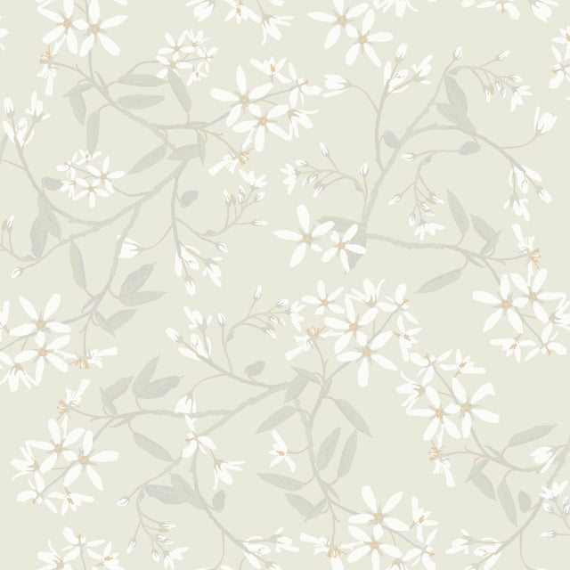 A-Street Prints 4201-20110 Paradis Dove Bouquet Toss Wallpap