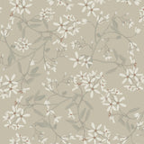 A-Street Prints 4201-20113 Paradis Grey Bouquet Toss Wallpap