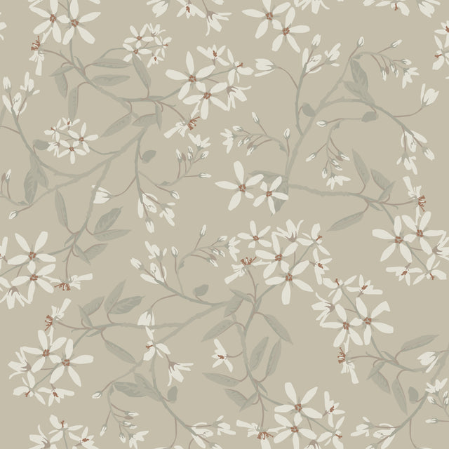 A-Street Prints 4201-20113 Paradis Grey Bouquet Toss Wallpap