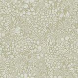 A-Street Prints 4201-48003 Siv Sage Botanical Wallpaper