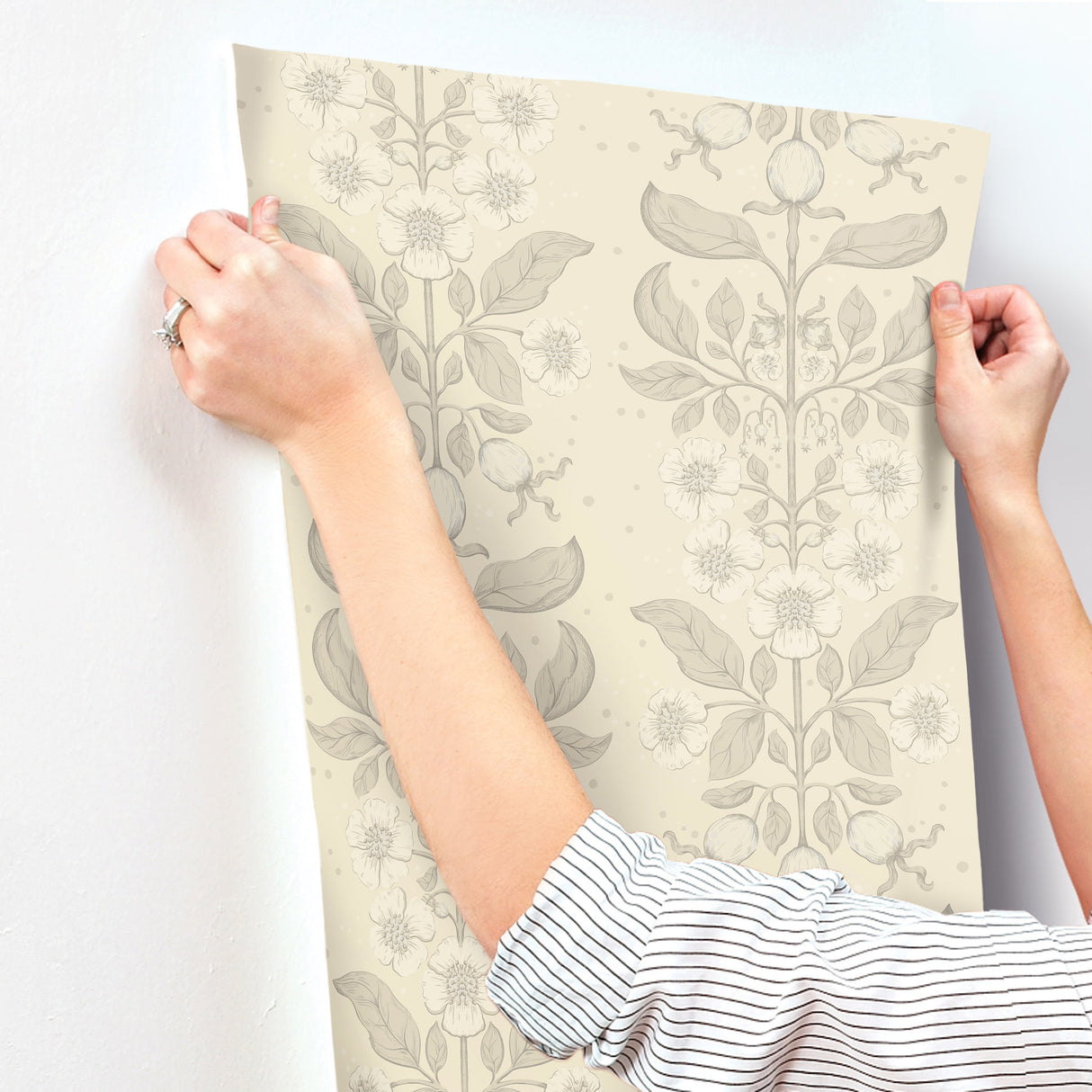 A-Street Prints 4201-48009 Rosa Cream Floral Columns Wallpap