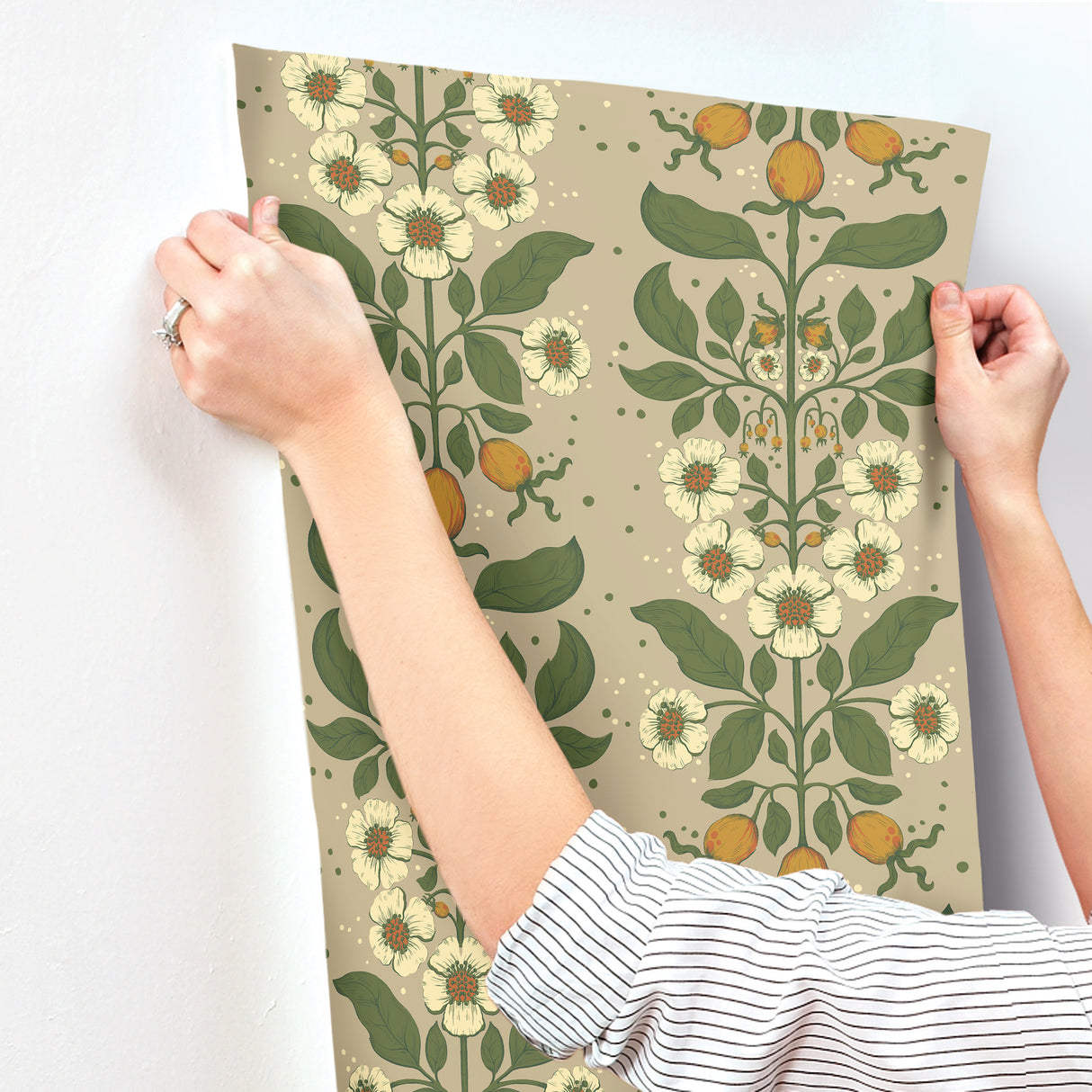 A-Street Prints 4201-48012 Rosa Light Brown Floral Columns W