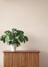 [variant_sku] [product_name] [custom.colorway] - Eade's Wallpaper & Fabric