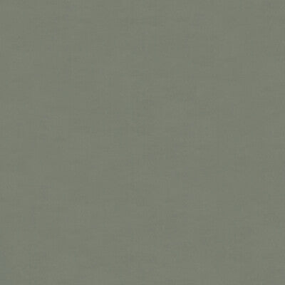 KRAVET CONTRACT 4202.1121.0 LUSTER SATIN NICKEL Fabric