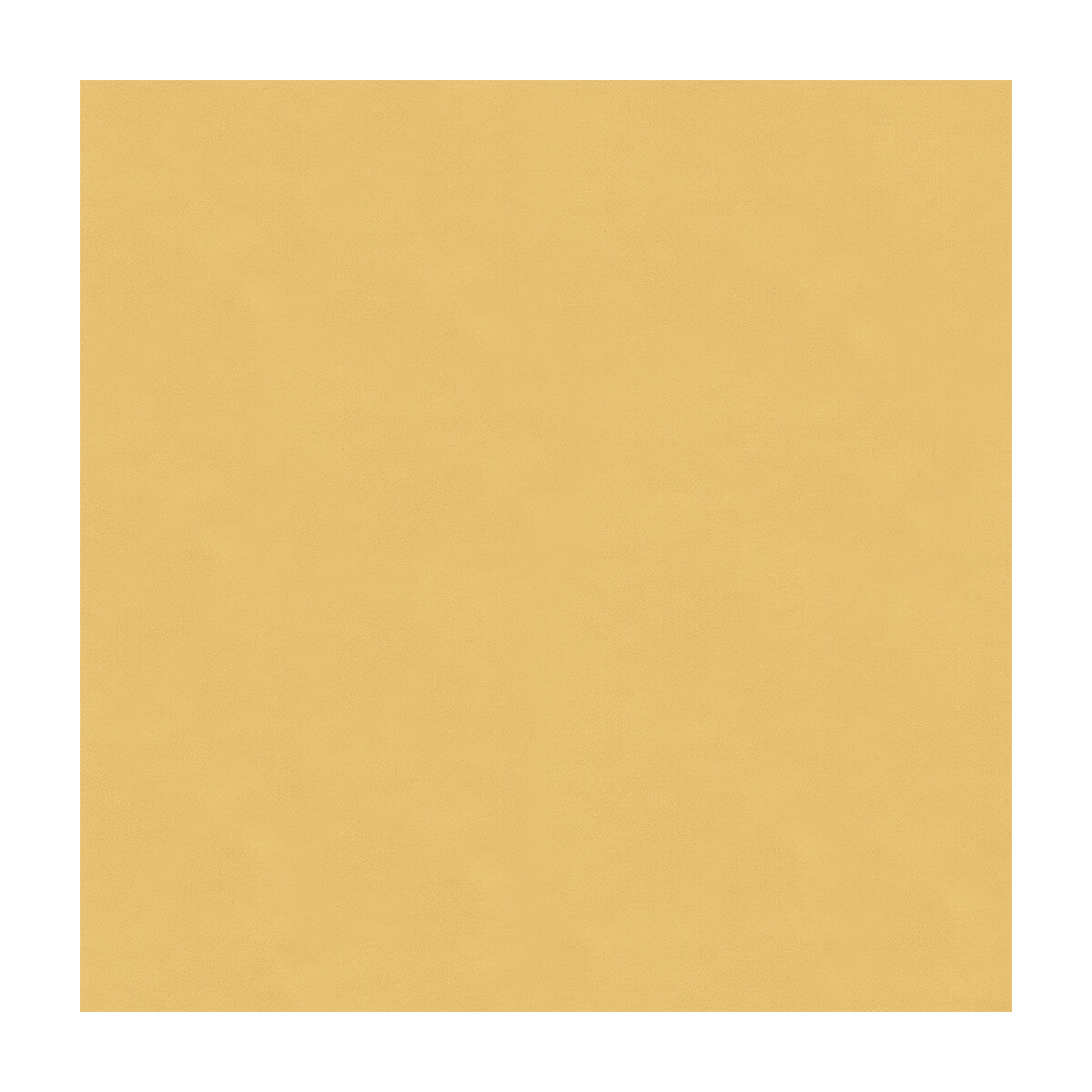 KRAVET CONTRACT 4202.114.0 LUSTER SATIN SHELL Fabric