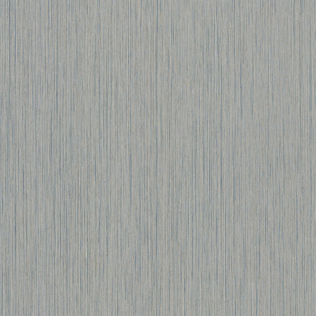 Ronald Redding 4211-83501 Atticus Navy String Wallpaper