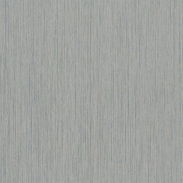Ronald Redding 4211-83501 Atticus Navy String Wallpaper