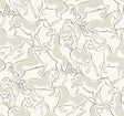 Ronald Redding 4211-83505 Dressage White Stallions Wallpaper