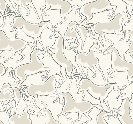 Ronald Redding 4211-83505 Dressage White Stallions Wallpaper