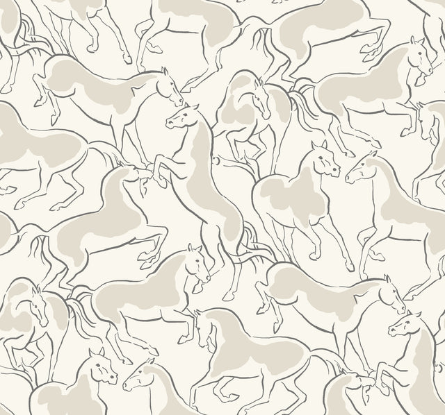 Ronald Redding 4211-83505 Dressage White Stallions Wallpaper