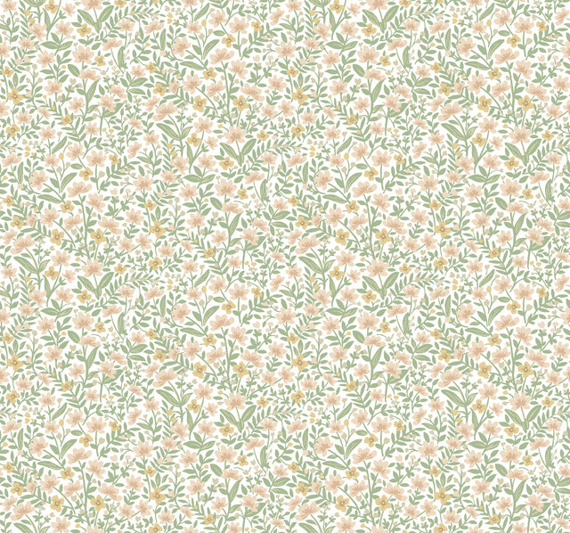 Rifle Paper Co. 4212-84368 Sylvie Blush Wallpaper
