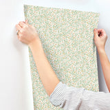 Rifle Paper Co. 4212-84368 Sylvie Blush Wallpaper