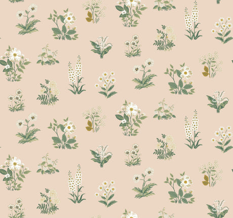 Rifle Paper Co. 4212-84372 Botanical Blush Wallpaper