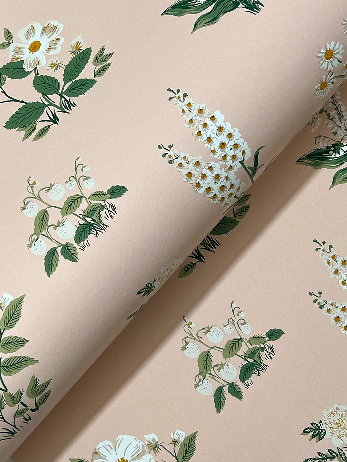 Rifle Paper Co. 4212-84372 Botanical Blush Wallpaper