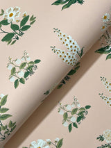 Rifle Paper Co. 4212-84372 Botanical Blush Wallpaper