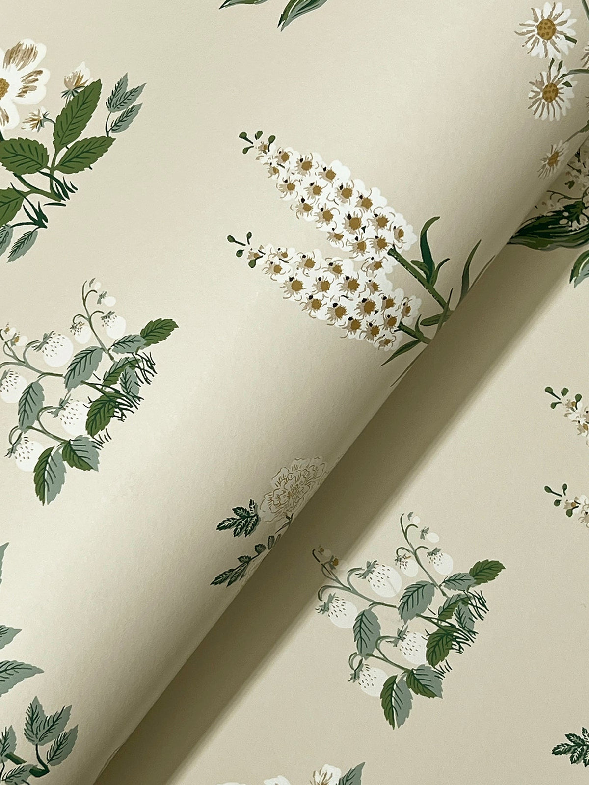 Rifle Paper Co. 4212-84374 Botanical Cream Wallpaper