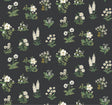 Rifle Paper Co. 4212-84375 Botanical Black Wallpaper