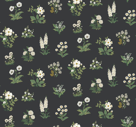 Rifle Paper Co. 4212-84375 Botanical Black Wallpaper