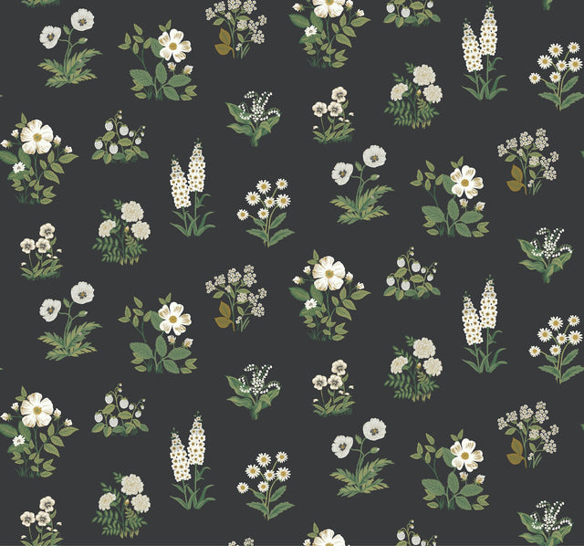 Rifle Paper Co. 4212-84375 Botanical Black Wallpaper