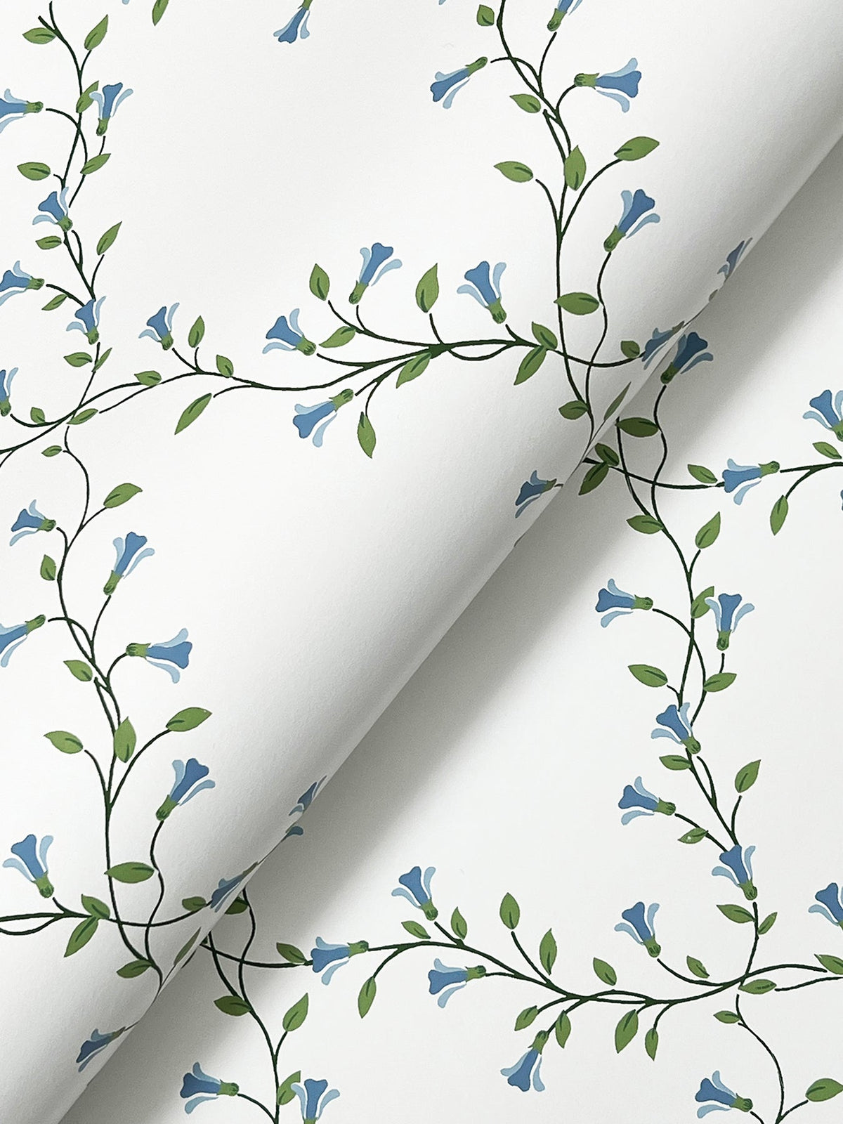Rifle Paper Co. 4212-84389 Bellflower White Wallpaper
