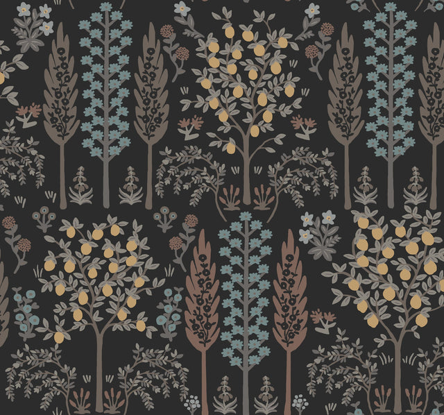 Rifle Paper Co. 4212-84409 Fenna Black Wallpaper