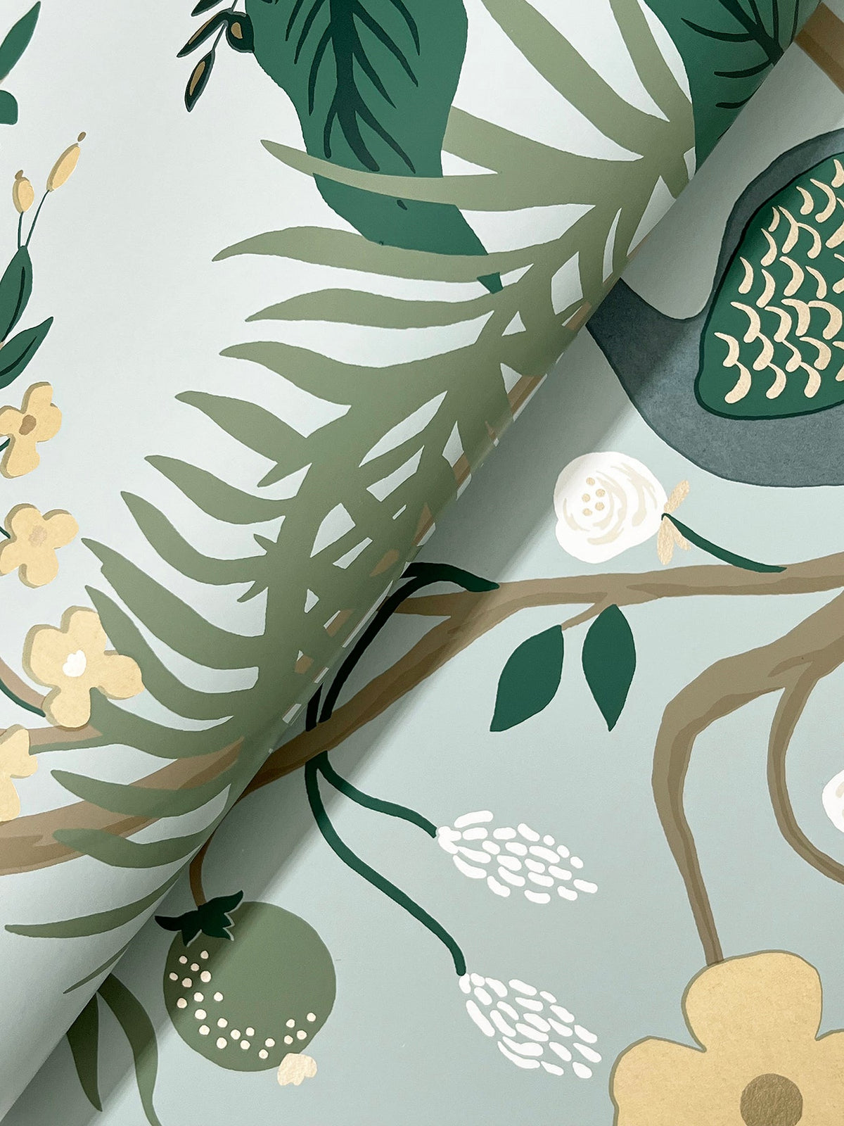 Rifle Paper Co. 4212-84426 Peacock Slate Wallpaper