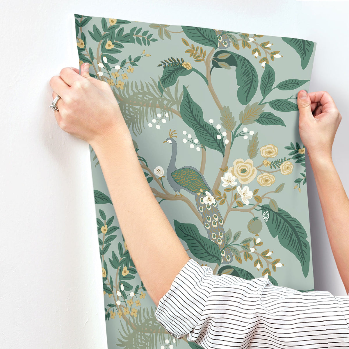 Rifle Paper Co. 4212-84426 Peacock Slate Wallpaper