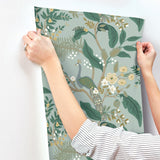 Rifle Paper Co. 4212-84426 Peacock Slate Wallpaper