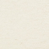 KRAVET COUTURE 4229.1.0 CELSIAN FROST Fabric