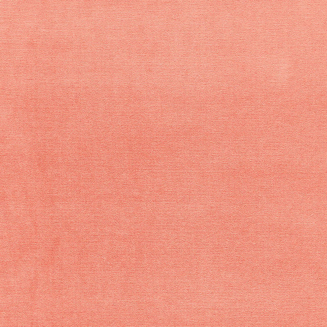 Eade’s SEA CORAL