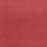 Eade’s TEA ROSE