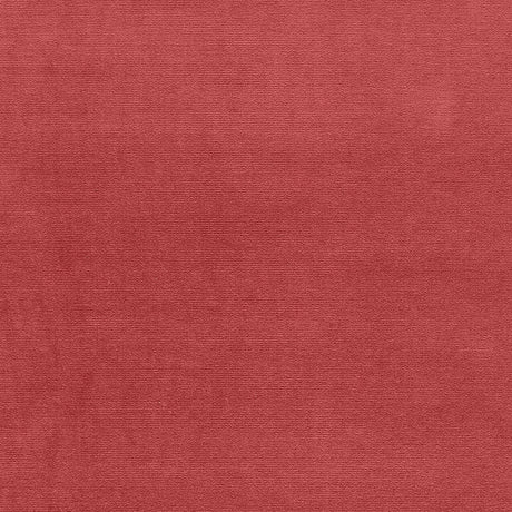 Eade’s TEA ROSE