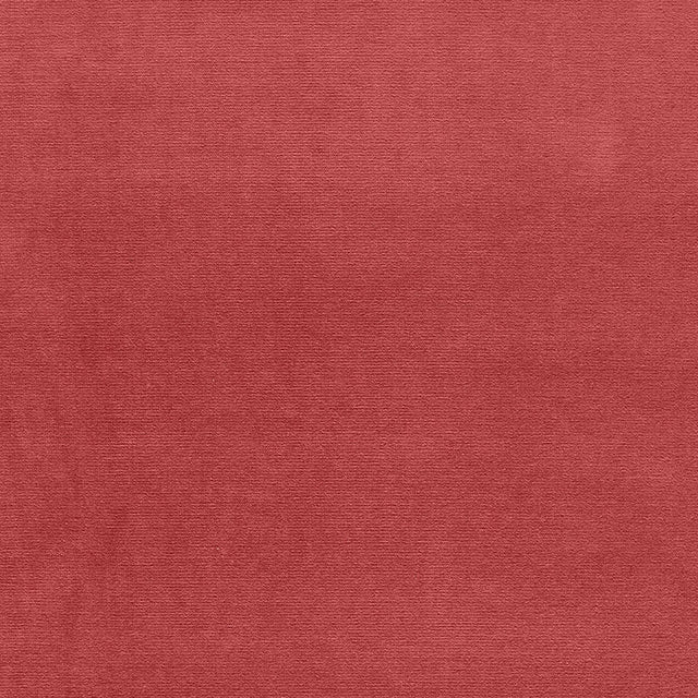 Eade’s TEA ROSE