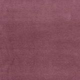 Eade’s AMETHYST