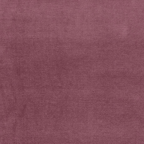 Eade’s AMETHYST
