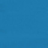 Eade’s BLUE JAY