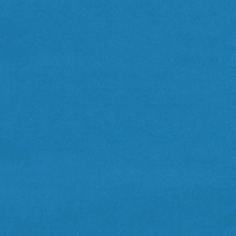 Eade’s BLUE JAY