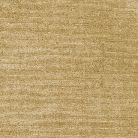 Schumacher 43131 ANTIQUE LINEN VELVET in CHAMPAGNE Fabric - 