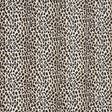 Schumacher Safari Épinglé Snow Leopard Fabric - Eade's Wallpaper