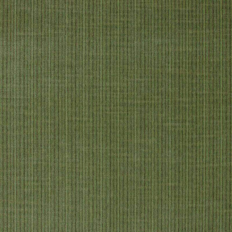 Schumacher Antique Strie Velvet Grass Fabric