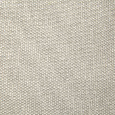 Pindler ROSARIO PAPYRUS 4357 Fabric - Fabric Collection