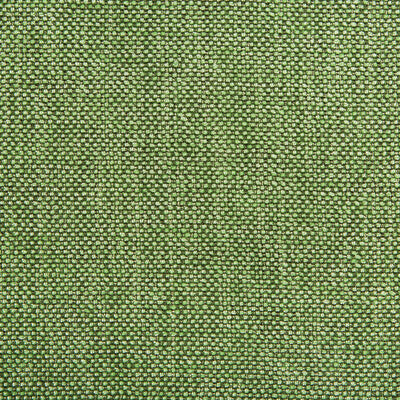 KRAVET CONTRACT 4458.323.0 KRAVET CONTRACT 4458-323 Fabric