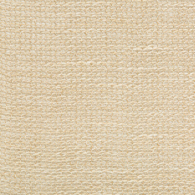 KRAVET COUTURE 4460.416.0 THREADLIKE GLINT Fabric